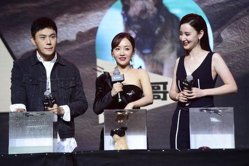 娱乐圈吃瓜合集百度网盘